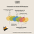Luca Carey Polarized - Chavas Eyewear