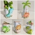 DINO BABY - comprar online