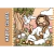 Livro de Colorir Infantil Evangélico – Jesus na internet