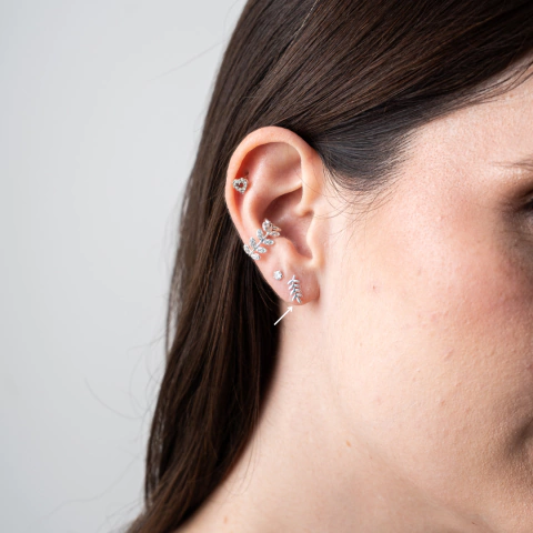 Brinco Flor Ramo em Prata