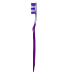 20 Tiras de 12 Piezas De Cepillos Dentales para Adulto Con Pasta Dental en internet