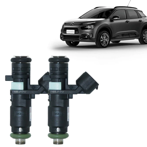 2 BICOS INJETORES C4 PALLAS CACTUS 408 307 407 9673836680