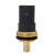 SENSOR TEMPERATURA AMAROK GOL POLO TIGUAN PASSAT 06A919501A - Casa da Injeção Eletrônica Brasil