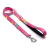 Guia + Peitoral H + Coleira Olivia - comprar online