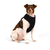 Peitoral Flow para cachorros Black - comprar online