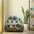 Cama Recycle para cachorro Grafite - comprar online
