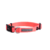 Coleira para cachorros Pink - comprar online