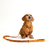Guia para cachorros Malcom Salsicha - comprar online