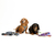 Guia Running para cachorros MalcomVerso - comprar online