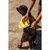 Mochila Trail para cachorros Amarela - loja online