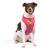 Peitoral Flow para cachorros Olivia - comprar online