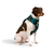 Peitoral Flow para cachorros Samauma - comprar online