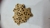 Estrela em mdf de 3mm 6x6 (9un) - comprar online