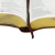 Biblia NAA - Bilingue POR/INGLES - Marrom Luxo na internet
