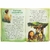 Biblia Infantil Letra Grande Histórias Bíblicas Crianças Livros Cristãos Editora Cristã Literatura Gospel Evangélico Mais Vendido Indicado Co