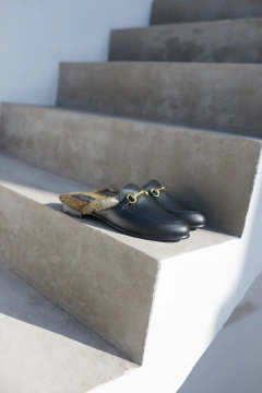 CALLIE NEGRO en internet