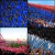 Globos De Cancha Politubos Aplaudidores x100 Unid - Rosa en internet