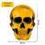 Globo Metalizado Calavera Dorada Halloween 55x75cm - comprar online