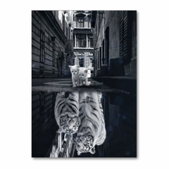 Placa Decorativa Animais