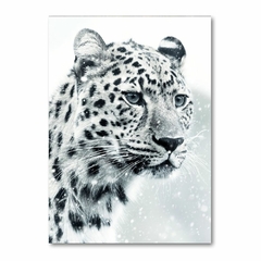 Placa Decorativa Animais