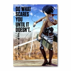 Placa Decorativa Attack on Titan