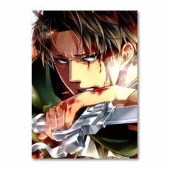 Placa Decorativa Attack on Titan