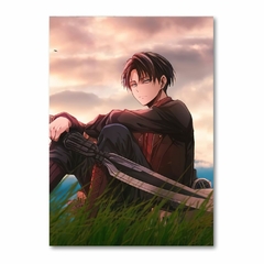 Placa Decorativa Attack on Titan