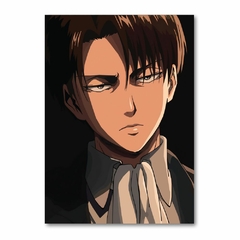 Placa Decorativa Attack on Titan