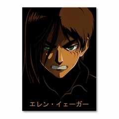 Placa Decorativa Attack on Titan