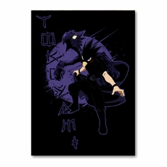 Placa Decorativa Boku no Hero