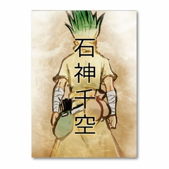 Placa Decorativa Dr. Stone