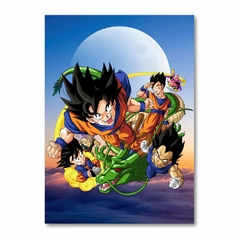 Placa Decorativa Dragon Ball