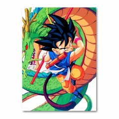 Placa Decorativa Dragon Ball