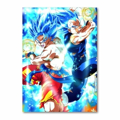 Placa Decorativa Dragon Ball