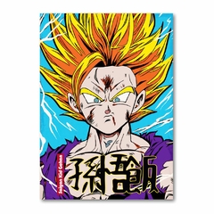 Placa Decorativa Dragon Ball