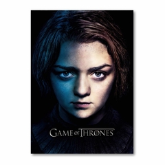 Placa Decorativa Game Of Thrones