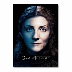 Placa Decorativa Game Of Thrones