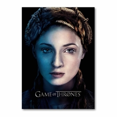 Placa Decorativa Game Of Thrones