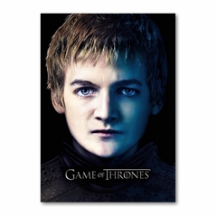 Placa Decorativa Game Of Thrones