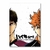 Placa Decorativa Haikyu!!