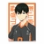 Placa Decorativa Haikyu!!