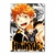 Placa Decorativa Haikyu!!