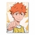 Placa Decorativa Haikyu!!