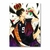 Placa Decorativa Haikyu!!
