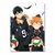 Placa Decorativa Haikyu!!