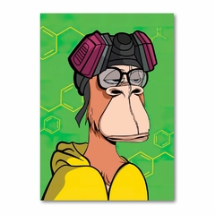 Placa Decorativa NFT