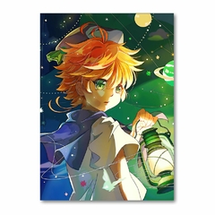 Placa Decorativa The Promissed