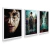 Imagem do kit 3 Quadros Decorativos Harry Potter