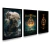 kit 3 Quadros Decorativos Elder Ring - comprar online