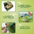 FIGURA DE DINOSAURIOS CON ACCESORIOS - tienda online